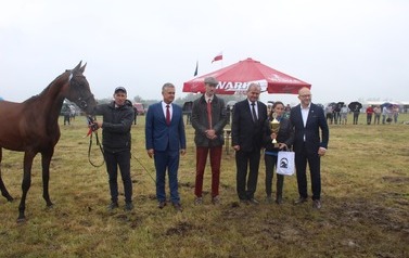 XXVI Świętokrzyski Młodzieżowy Championat Koni Małopolskich w Opatowcu - święto hodowc&oacute;w, tradycji i dobrej zabawy - aparat 3 68
