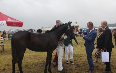 XXVI Świętokrzyski Młodzieżowy Championat Koni Małopolskich w Opatowcu - święto hodowc&oacute;w, tradycji i dobrej zabawy - aparat 3 74
