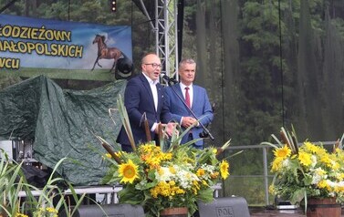 XXVI Świętokrzyski Młodzieżowy Championat Koni Małopolskich w Opatowcu - święto hodowc&oacute;w, tradycji i dobrej zabawy - aparat 3 87