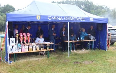 XXVI Świętokrzyski Młodzieżowy Championat Koni Małopolskich w Opatowcu - święto hodowc&oacute;w, tradycji i dobrej zabawy - aparat 3 117