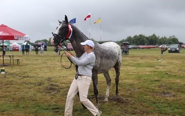 XXVI Świętokrzyski Młodzieżowy Championat Koni Małopolskich w Opatowcu - święto hodowc&oacute;w, tradycji i dobrej zabawy - aparat 3 120