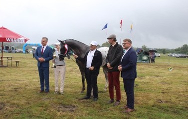 XXVI Świętokrzyski Młodzieżowy Championat Koni Małopolskich w Opatowcu - święto hodowc&oacute;w, tradycji i dobrej zabawy - aparat 3 122