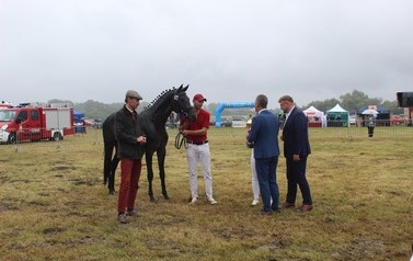 XXVI Świętokrzyski Młodzieżowy Championat Koni Małopolskich w Opatowcu - święto hodowc&oacute;w, tradycji i dobrej zabawy - aparat 3 129