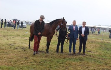 XXVI Świętokrzyski Młodzieżowy Championat Koni Małopolskich w Opatowcu - święto hodowc&oacute;w, tradycji i dobrej zabawy - aparat 3 136