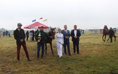 XXVI Świętokrzyski Młodzieżowy Championat Koni Małopolskich w Opatowcu - święto hodowc&oacute;w, tradycji i dobrej zabawy - aparat 3 138