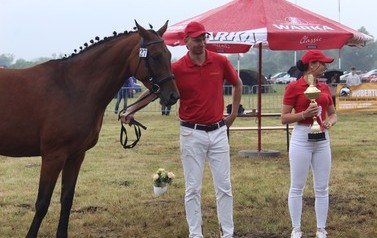 XXVI Świętokrzyski Młodzieżowy Championat Koni Małopolskich w Opatowcu - święto hodowc&oacute;w, tradycji i dobrej zabawy - aparat 3 139