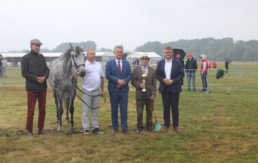XXVI Świętokrzyski Młodzieżowy Championat Koni Małopolskich w Opatowcu - święto hodowc&oacute;w, tradycji i dobrej zabawy - aparat 3 141