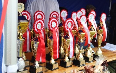 XXVI Świętokrzyski Młodzieżowy Championat Koni Małopolskich w Opatowcu - święto hodowc&oacute;w, tradycji i dobrej zabawy - aparat 3 149