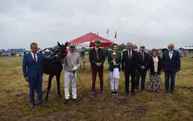 XXVI Świętokrzyski Młodzieżowy Championat Koni Małopolskich w Opatowcu - święto hodowc&oacute;w, tradycji i dobrej zabawy - aparat 4 46