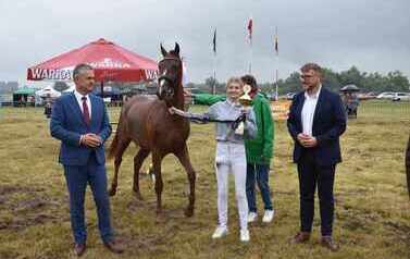 XXVI Świętokrzyski Młodzieżowy Championat Koni Małopolskich w Opatowcu - święto hodowc&oacute;w, tradycji i dobrej zabawy - aparat 4 53