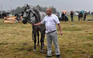 XXVI Świętokrzyski Młodzieżowy Championat Koni Małopolskich w Opatowcu - święto hodowc&oacute;w, tradycji i dobrej zabawy - aparat 4 81