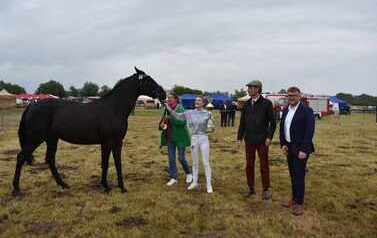 XXVI Świętokrzyski Młodzieżowy Championat Koni Małopolskich w Opatowcu - święto hodowc&oacute;w, tradycji i dobrej zabawy - aparat 4 108