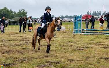 XXVI Świętokrzyski Młodzieżowy Championat Koni Małopolskich w Opatowcu - święto hodowc&oacute;w, tradycji i dobrej zabawy - aparat 1 58