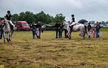 XXVI Świętokrzyski Młodzieżowy Championat Koni Małopolskich w Opatowcu - święto hodowc&oacute;w, tradycji i dobrej zabawy - aparat 1 64
