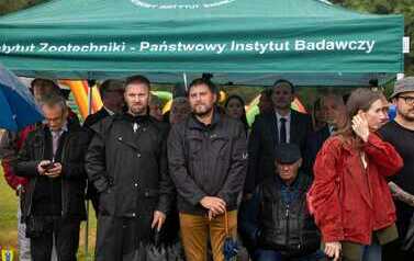 XXVI Świętokrzyski Młodzieżowy Championat Koni Małopolskich w Opatowcu - święto hodowc&oacute;w, tradycji i dobrej zabawy - aparat 1 141