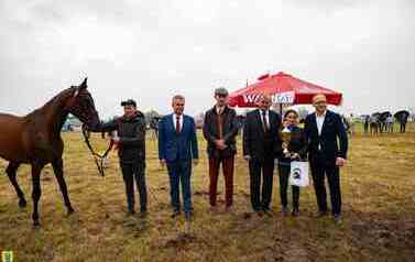 XXVI Świętokrzyski Młodzieżowy Championat Koni Małopolskich w Opatowcu - święto hodowc&oacute;w, tradycji i dobrej zabawy - aparat 1 149
