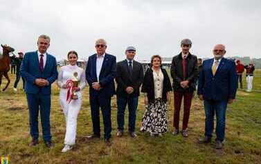XXVI Świętokrzyski Młodzieżowy Championat Koni Małopolskich w Opatowcu - święto hodowc&oacute;w, tradycji i dobrej zabawy - aparat 1 151