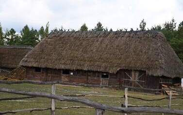 Nowe tytuły, nowe historie, nowe czytelnicze emocje 113