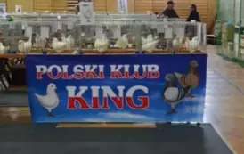 Osiągnięcie mieszkańca Gminy Opatowiec na wystawie gołębi rasy KING 6