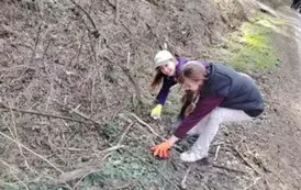 Sprzątanie świata w Gminie Opatowiec 2025 10