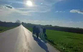 Sprzątanie świata w Gminie Opatowiec 2025 15