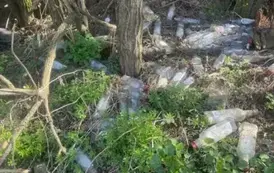 Sprzątanie świata w Gminie Opatowiec 2025 125