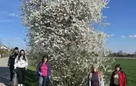 Sprzątanie świata w Gminie Opatowiec 2025 158