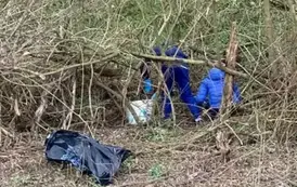 Sprzątanie świata w Gminie Opatowiec 2025 196