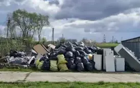 Sprzątanie świata w Gminie Opatowiec 2025 230