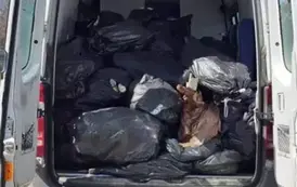 Sprzątanie świata w Gminie Opatowiec 2025 231