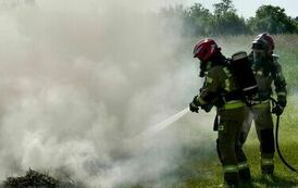 Piknik Rodzinny w Rogowie 12