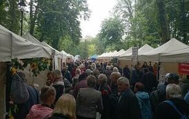 Senioralia 2023 w Busku-Zdroju 11