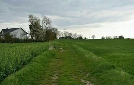 Przebudowa drogi gminnej w miejscowości Charbinowice 02