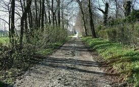 Przebudowa drogi wewnętrznej w miejscowości Senisławice 01