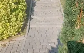 Remont chodnika przy Grobie Nieznanego Żołnierza w Charbinowicach 3