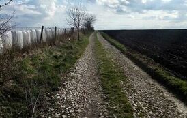 Przebudowa drogi wewnętrznej w Krzczonowie 03