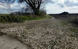 Przebudowa drogi wewnętrznej w Krzczonowie 02