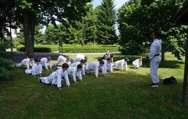 Karate w plenerze 16