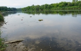 Wianki nad Wisłą w Opatowcu &ndash; tradycja, integracja i edukacja międzypokoleniowa 43