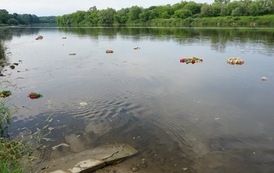 Wianki nad Wisłą w Opatowcu &ndash; tradycja, integracja i edukacja międzypokoleniowa 51