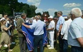 XXIII Świętokrzyski Młodzieżowy Championat Koni Małopolskich w Opatowcu - dzień II aparat 4 131