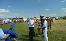 XXIII Świętokrzyski Młodzieżowy Championat Koni Małopolskich w Opatowcu - dzień II aparat 4 129