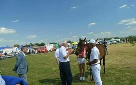 XXIII Świętokrzyski Młodzieżowy Championat Koni Małopolskich w Opatowcu - dzień II aparat 4 128