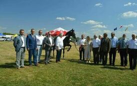 XXIII Świętokrzyski Młodzieżowy Championat Koni Małopolskich w Opatowcu - dzień II aparat 4 124