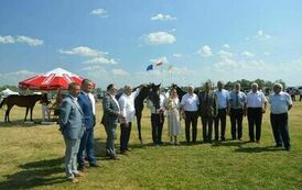 XXIII Świętokrzyski Młodzieżowy Championat Koni Małopolskich w Opatowcu - dzień II aparat 4 123