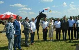 XXIII Świętokrzyski Młodzieżowy Championat Koni Małopolskich w Opatowcu - dzień II aparat 4 122