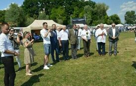 XXIII Świętokrzyski Młodzieżowy Championat Koni Małopolskich w Opatowcu - dzień II aparat 4 119