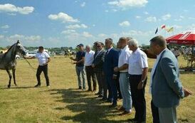 XXIII Świętokrzyski Młodzieżowy Championat Koni Małopolskich w Opatowcu - dzień II aparat 4 114