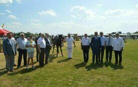 XXIII Świętokrzyski Młodzieżowy Championat Koni Małopolskich w Opatowcu - dzień II aparat 4 109