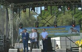 XXIII Świętokrzyski Młodzieżowy Championat Koni Małopolskich w Opatowcu - dzień II aparat 4 81